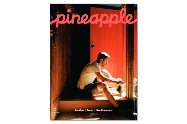 Airbnb Pineapple Magazine