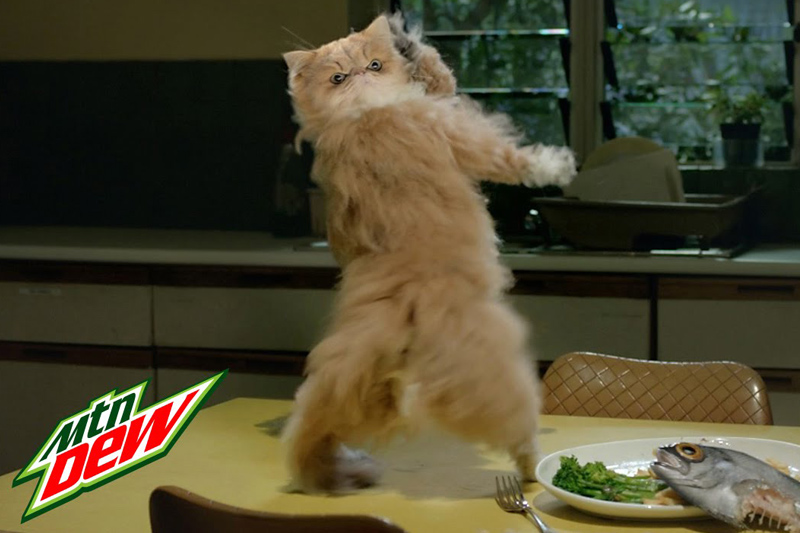 Mtn Dew "Kitty Wop" Commercial