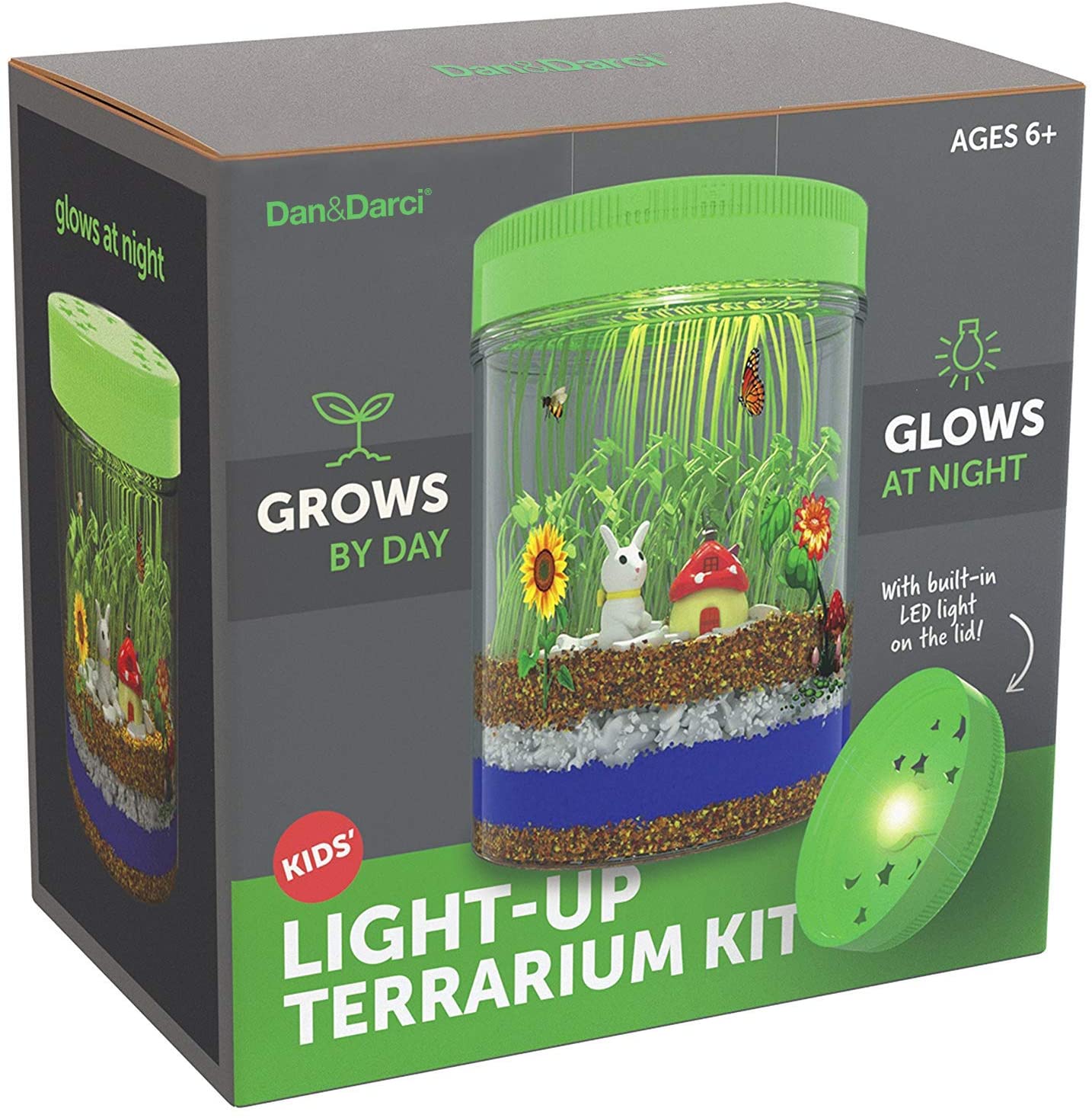 Light-up Terrarium Kit for Kids