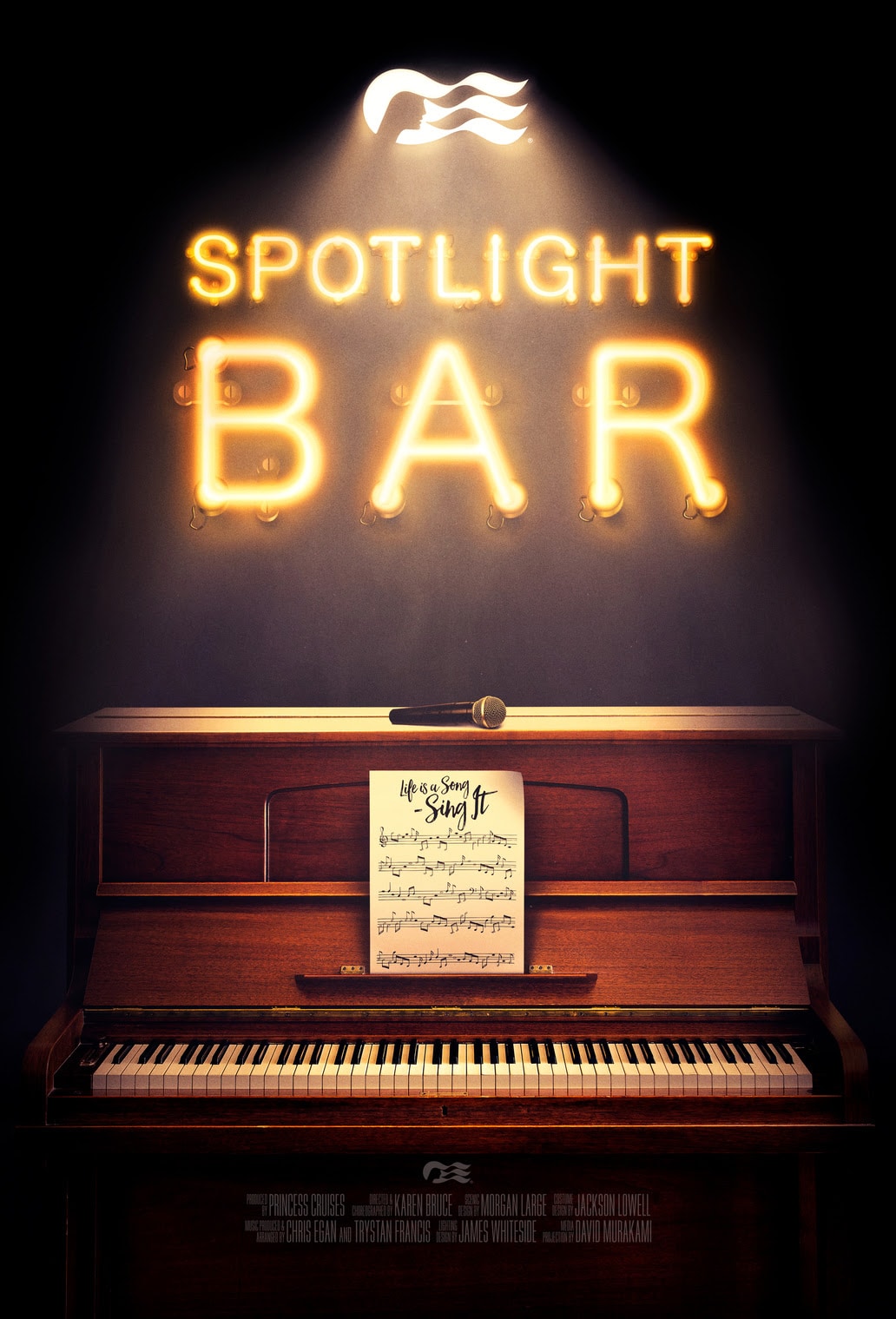 Spotlight Bar on Princess Discovery