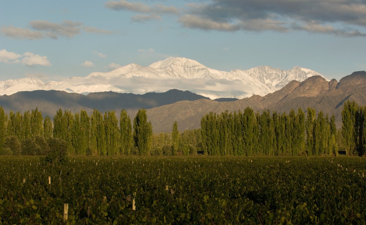 Susana Balbo winery in Argentina