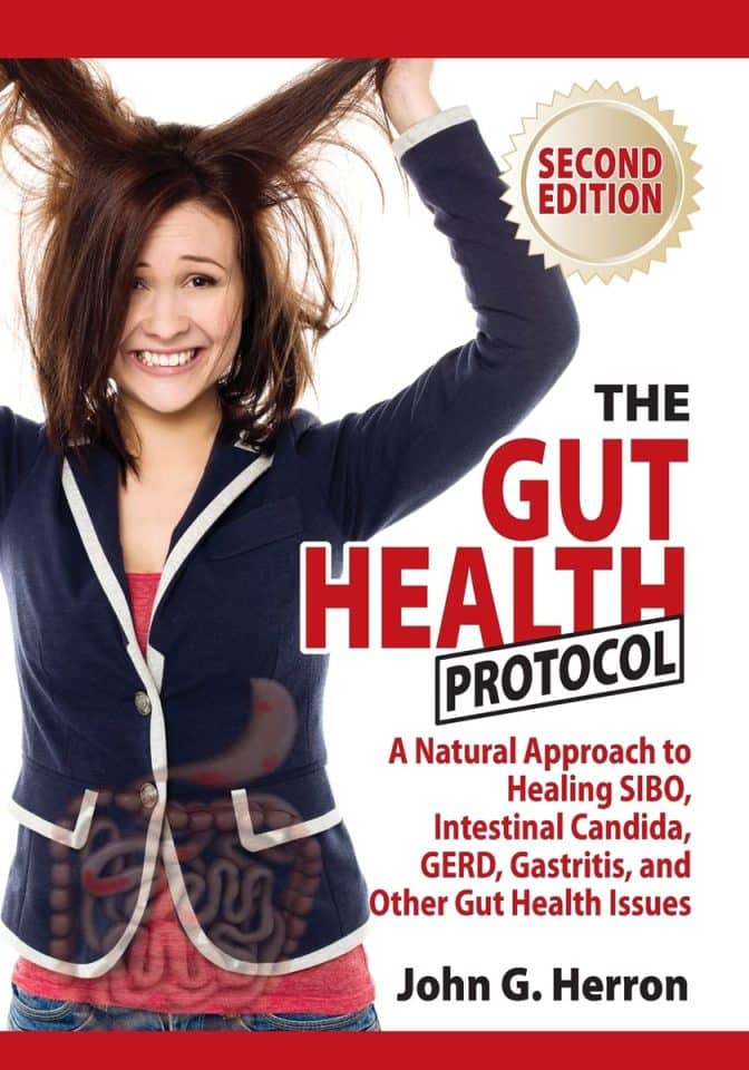 The Gut Health Protocol book