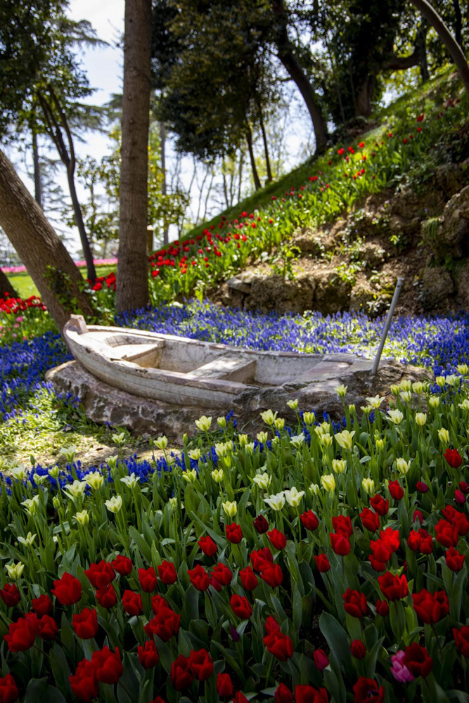 May is Tulip season in Istanbul