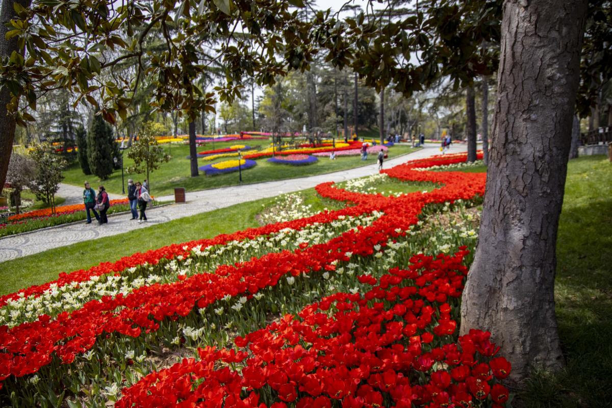 Tulip season in Istanbul, Turkiye