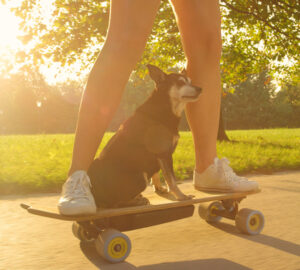 Dog riding on electric skateboard