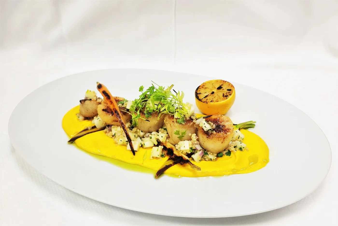 Seared Scallops with quinoa apple salad carrot and honey