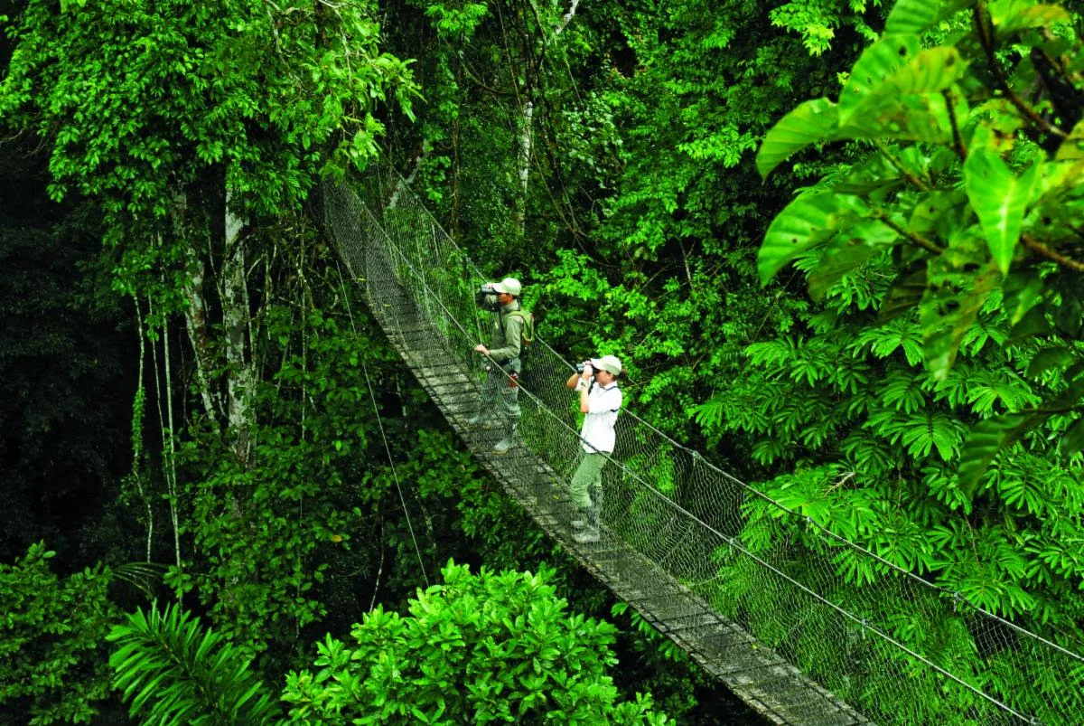 Bridge views from Inkaterra Reserva Amazonica