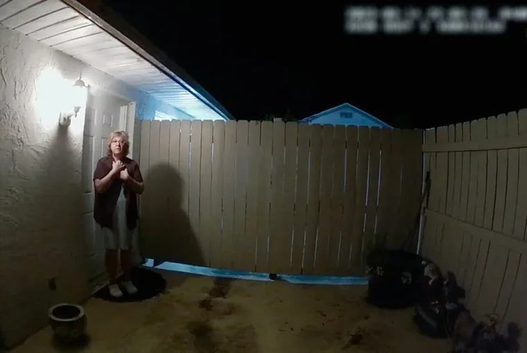 The Perfect Neighbor trailer on Netflix