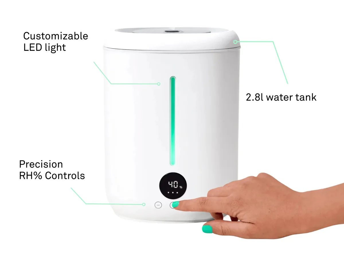 Molekule Glow Humidifier in action