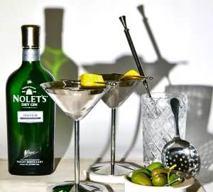 Nolet's Dry Gin Martini