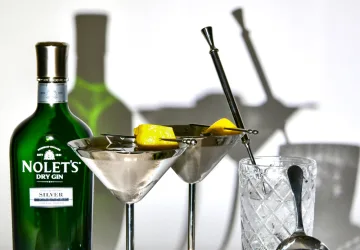 Nolet's Dry Gin Martini