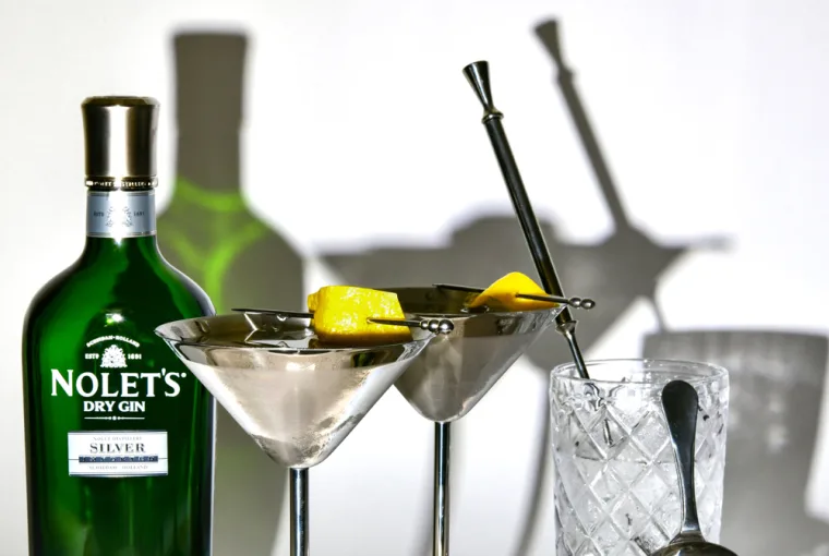 Nolet's Dry Gin Martini