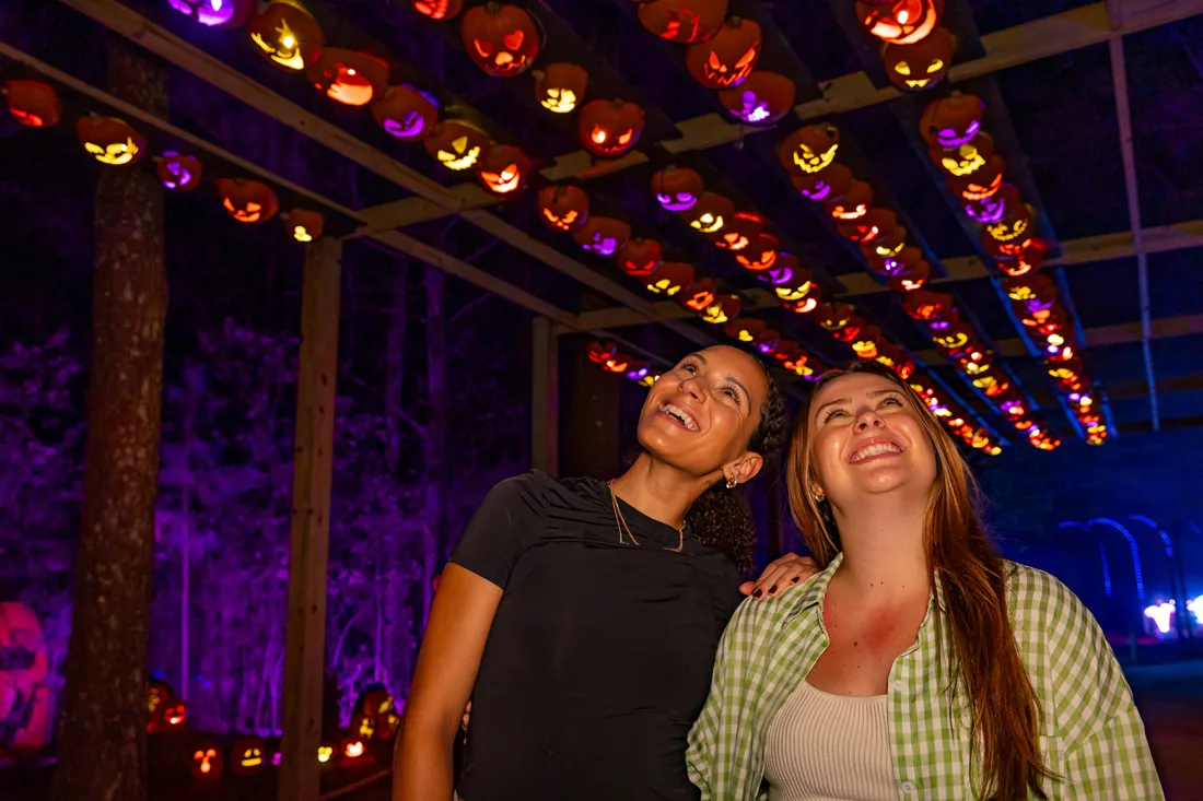 Guests enjoying Jack's Lighted Trail in Belleville