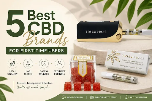 5 Best CBD Brands for first-time users (2026)