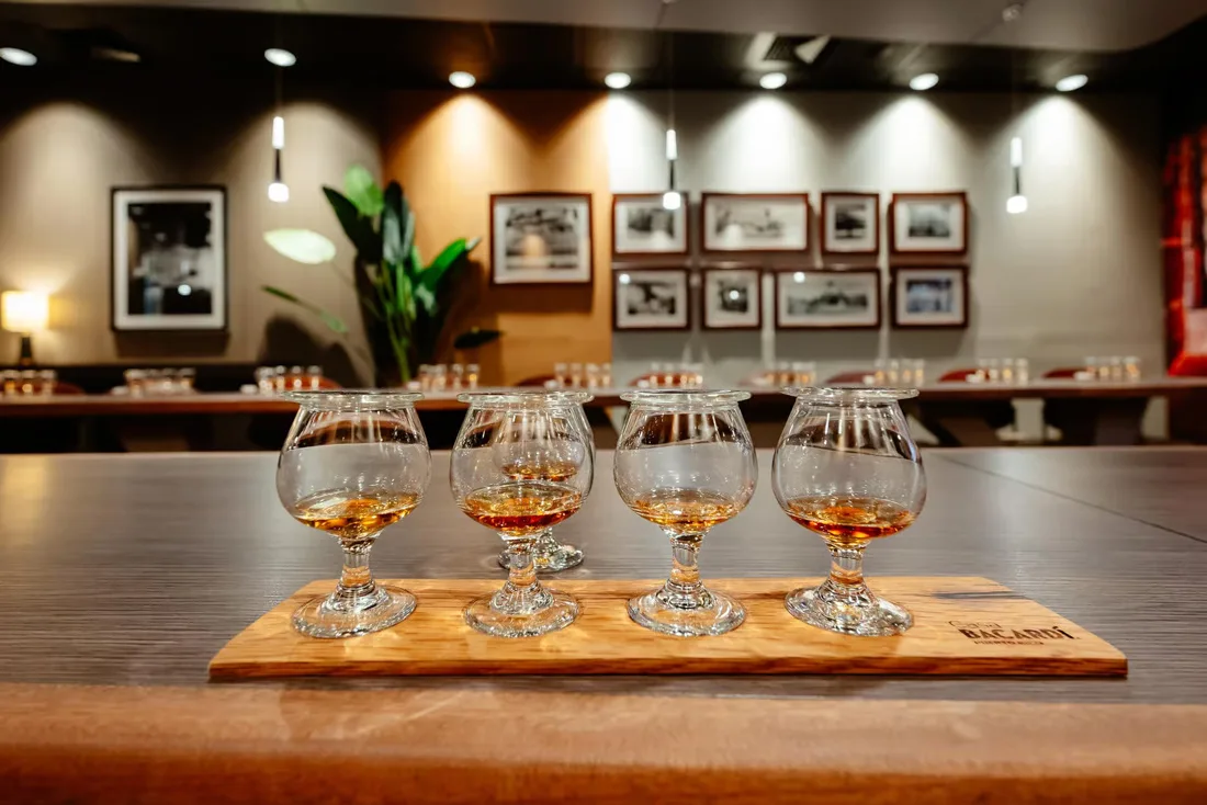 Casa Bacardi distillery tour and tasting