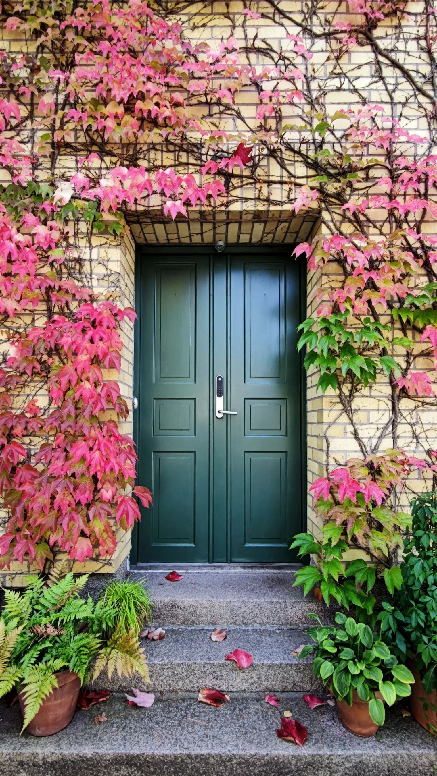 Blue wooden door with pink and red flowers