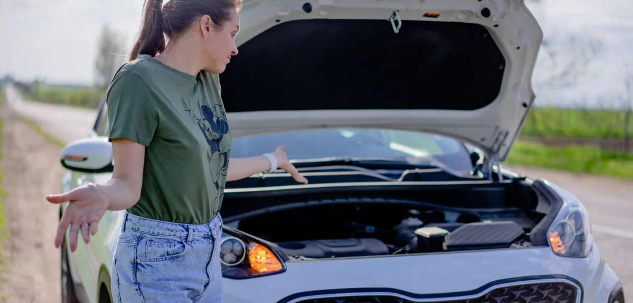 When the Journey Stops: Staying Safe and Getting Back on the Road