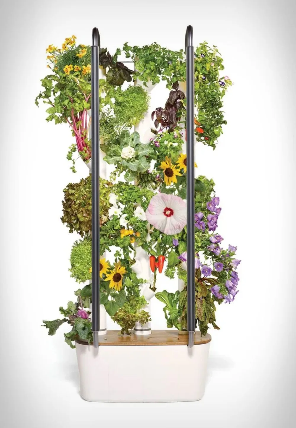 Gardyn 4 indoor garden