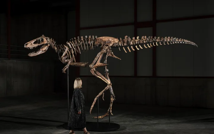 ‘Jodi’ Nanotyrannus Skeleton: A 67-Million-Year-Old Auction Lot