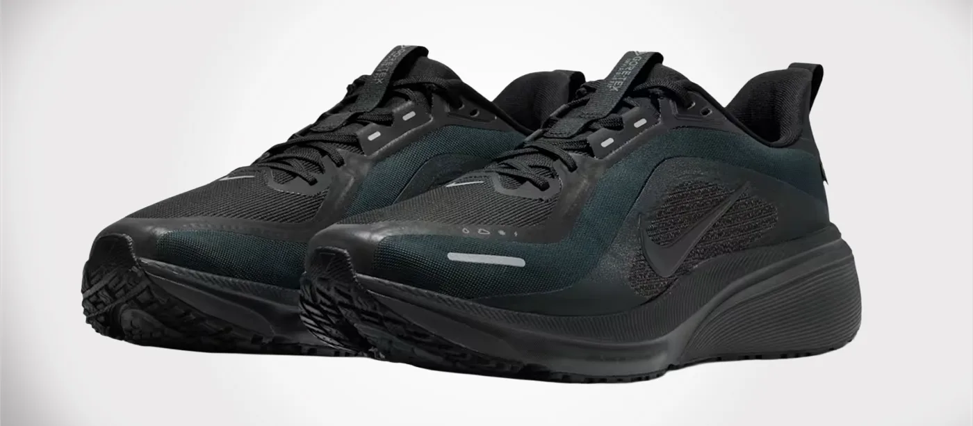 Nike Pegasus 42 GORE-TEX