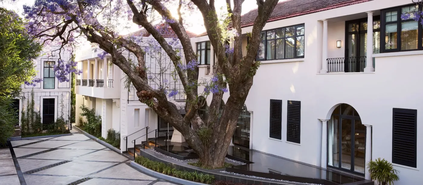 Park Hyatt Johannesburg exterior with blooming jacaranda tree