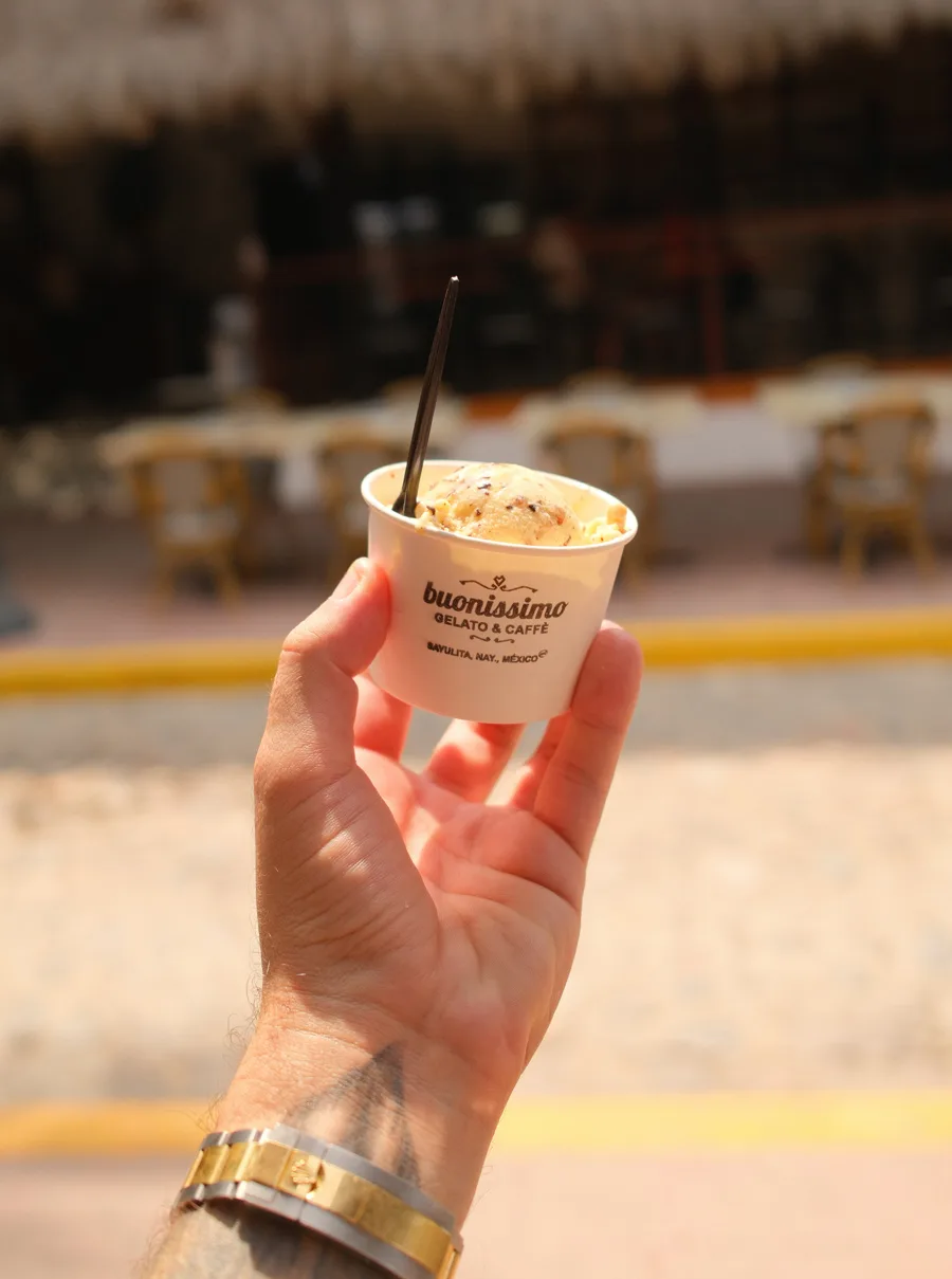 Tortuga gelato from Buonissimo Gelato & Caffe